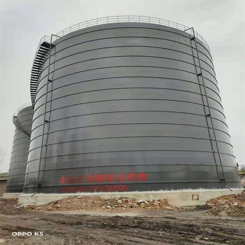 新州镇3万吨大型钢板库