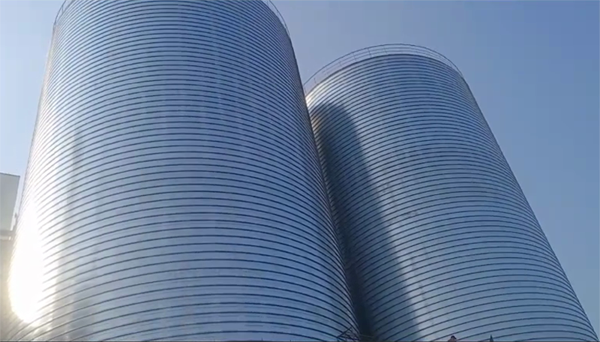 新州镇2座混凝土高架卷板仓